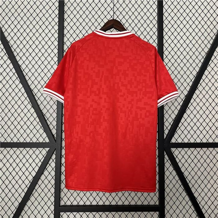 Denmark 2024 Euro Cup Home Football Kit