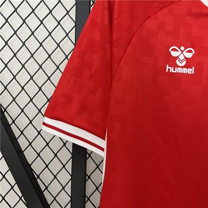 Denmark 2024 Euro Cup Home Football Kit